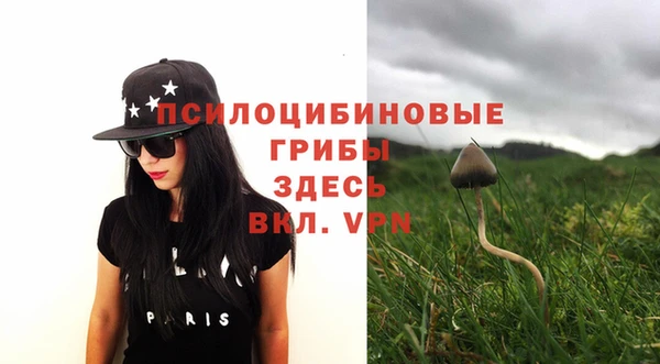 экстази Горняк