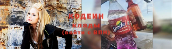 2c-b Горно-Алтайск