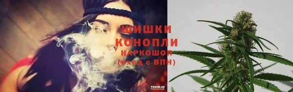 экстази Горняк