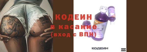 2c-b Горно-Алтайск