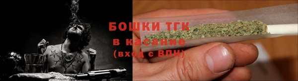 экстази Горняк