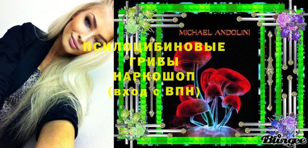 2c-b Горно-Алтайск