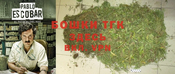 экстази Горняк