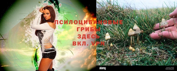 дурь Гусиноозёрск