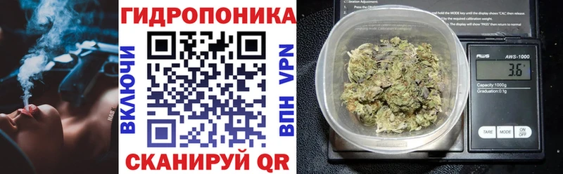 Шишки марихуана индика Отрадная